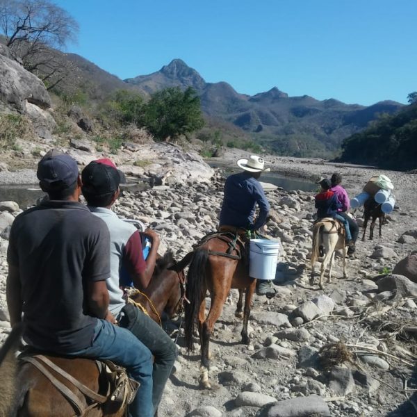 Proyecto Agua Limpia LRI (13)