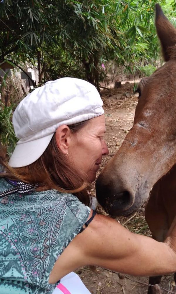 Yelapa Animal Project (16)